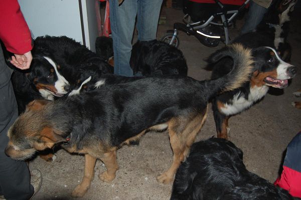 Předvánoční setkání v Žižicích 13. 12. 2009