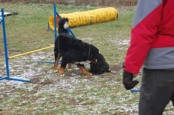 Předvánoční setkání v Žižicích 13. 12. 2009