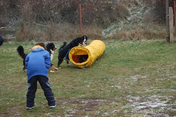 Předvánoční setkání v Žižicích 13. 12. 2009