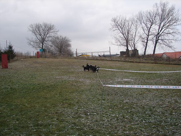 Předvánoční setkání v Žižicích 13. 12. 2009