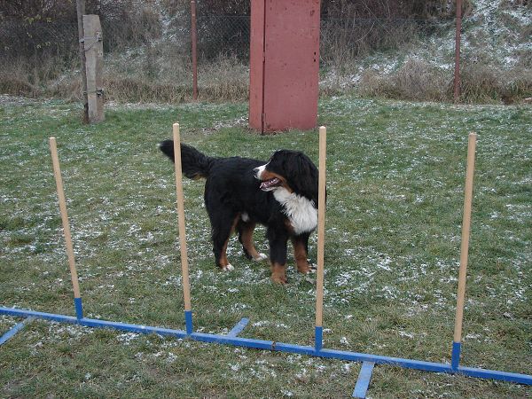 Předvánoční setkání v Žižicích 13. 12. 2009