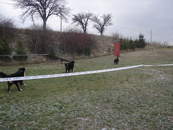 Předvánoční setkání v Žižicích 13. 12. 2009