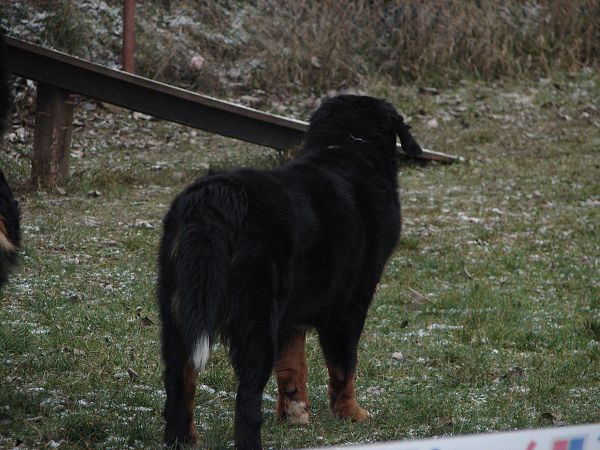 Předvánoční setkání v Žižicích 13. 12. 2009