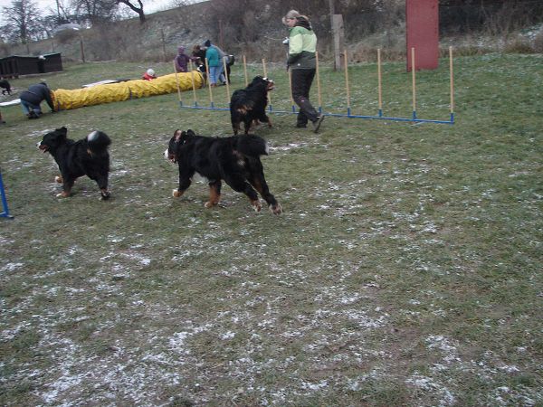 Předvánoční setkání v Žižicích 13. 12. 2009