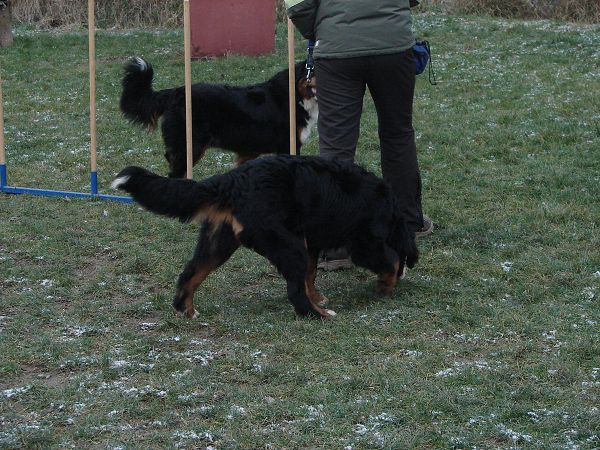 Předvánoční setkání v Žižicích 13. 12. 2009