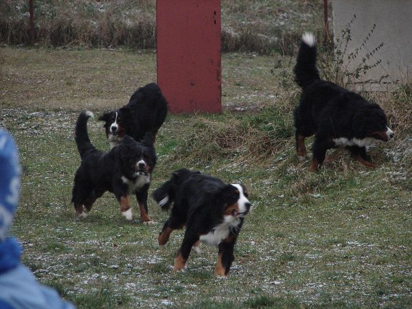 Předvánoční setkání v Žižicích 13. 12. 2009