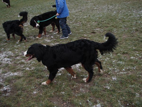 Předvánoční setkání v Žižicích 13. 12. 2009
