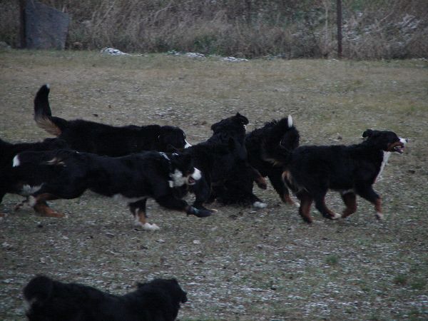 Předvánoční setkání v Žižicích 13. 12. 2009