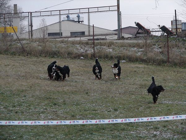 Předvánoční setkání v Žižicích 13. 12. 2009