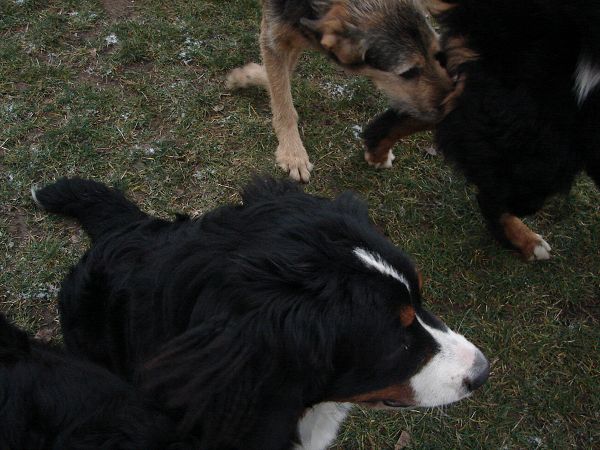 Předvánoční setkání v Žižicích 13. 12. 2009