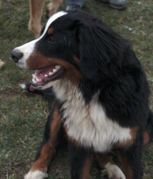 Předvánoční setkání v Žižicích 13. 12. 2009