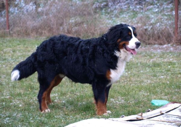 Předvánoční setkání v Žižicích 13. 12. 2009