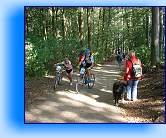 někteří-cyklisti-vyjeli-cel 