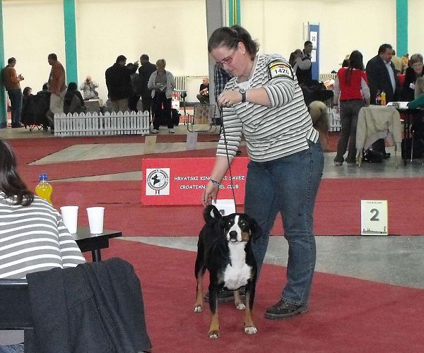 Duo CACIB Zagreb - Comtessa a Kristof