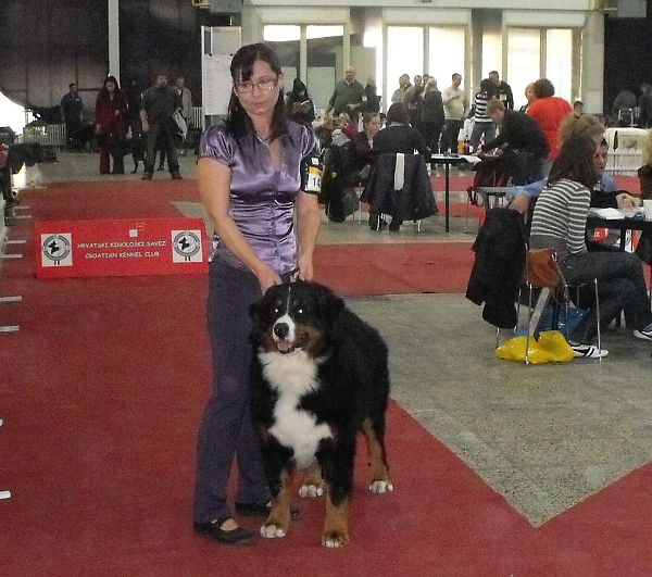 Duo CACIB Zagreb - Comtessa a Kristof