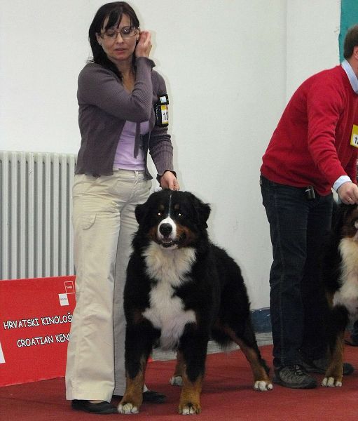 Duo CACIB Zagreb - Comtessa a Kristof