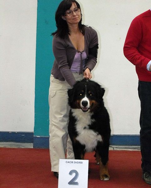 Duo CACIB Zagreb - Comtessa a Kristof