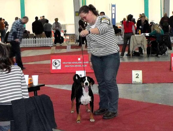 Duo CACIB Zagreb - Comtessa a Kristof