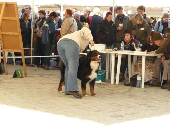 MVP Č.Budějovice 25.10.2009