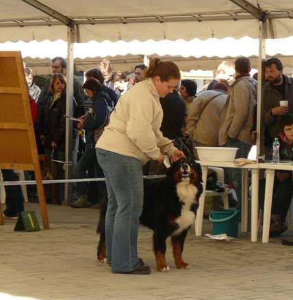 MVP Č.Budějovice 25.10.2009