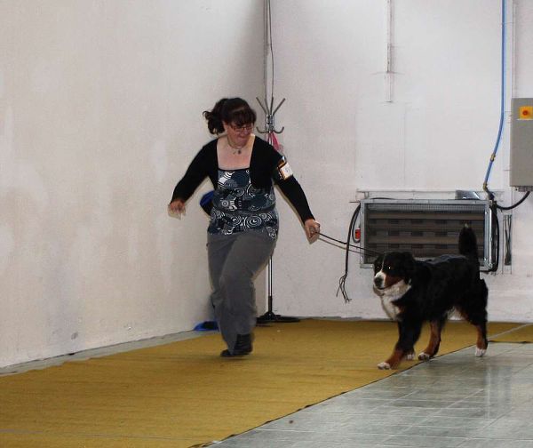 DUO CACIB Nitra 5. - 6. 12. 2009