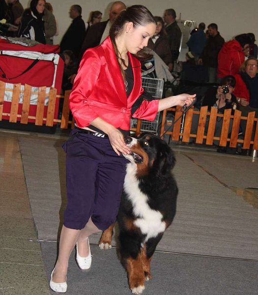 DUO CACIB Nitra 5. - 6. 12. 2009