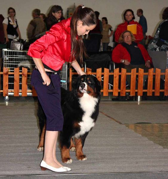 DUO CACIB Nitra 5. - 6. 12. 2009