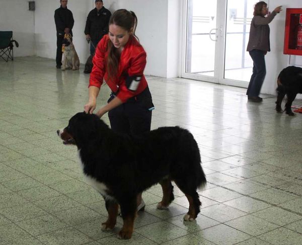 DUO CACIB Nitra 5. - 6. 12. 2009