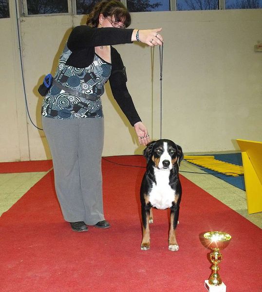 DUO CACIB Nitra 5. - 6. 12. 2009