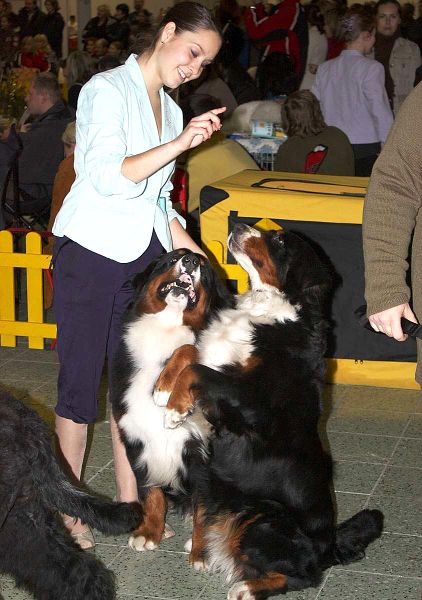 DUO CACIB Nitra 5. - 6. 12. 2009