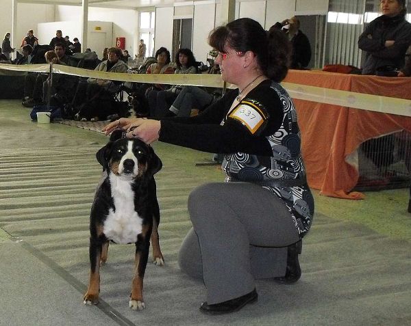DUO CACIB Nitra 5. - 6. 12. 2009