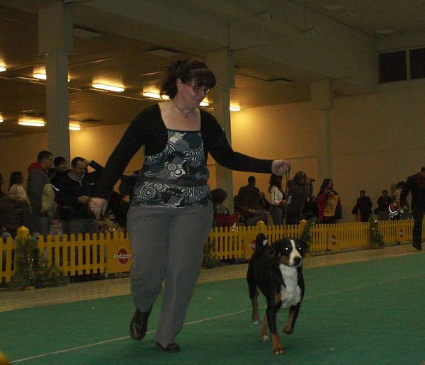 DUO CACIB Nitra 5. - 6. 12. 2009