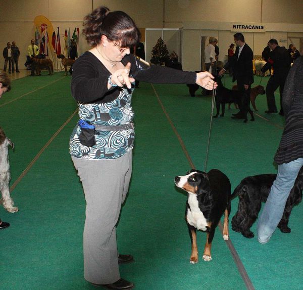 DUO CACIB Nitra 5. - 6. 12. 2009