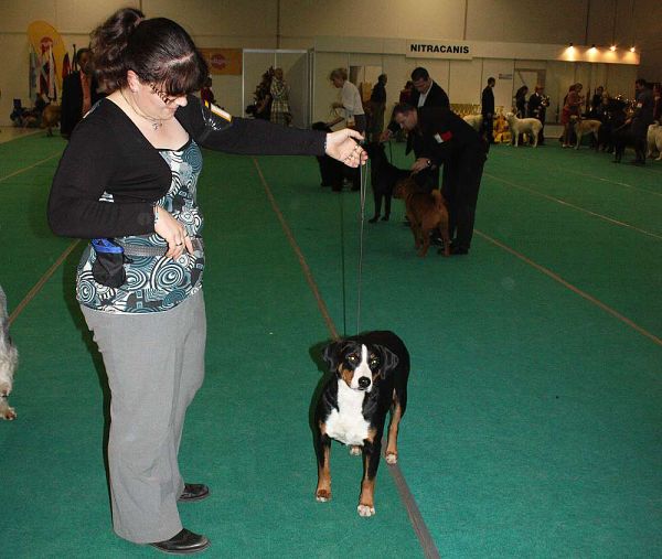 DUO CACIB Nitra 5. - 6. 12. 2009