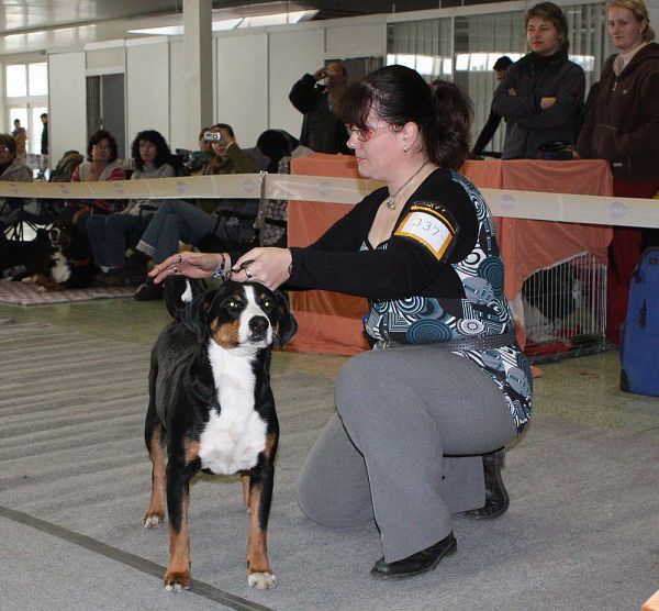 DUO CACIB Nitra 5. - 6. 12. 2009