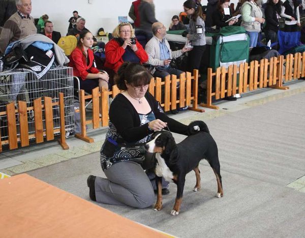 DUO CACIB Nitra 5. - 6. 12. 2009