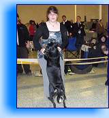 Market_Tessa 