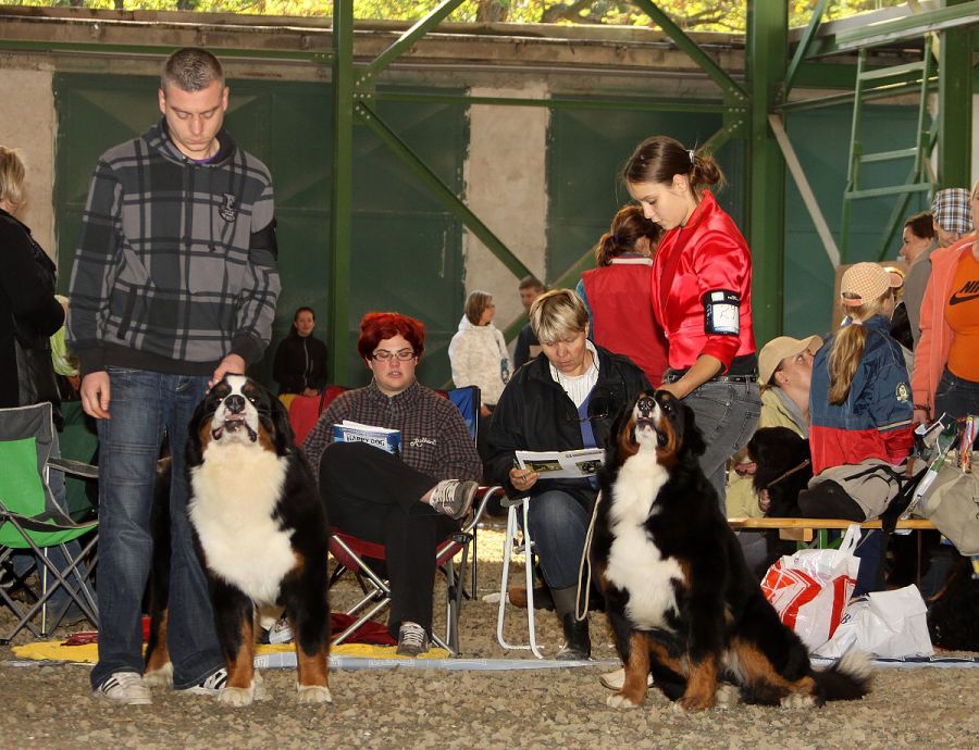 Spec. výstava SKŠSP - Čierna Voda 11.10.2009