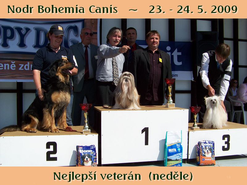 Alenka od Hrnčířského kruhu - Lakynka - 11 let 