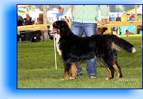 Monty_postoj 