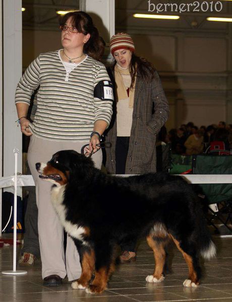 CACIB Trenčín 24.1.10 - Kristof a Lousiana Queen Elsa