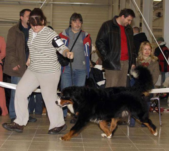 CACIB Trenčín 24.1.10 - Kristof a Lousiana Queen Elsa