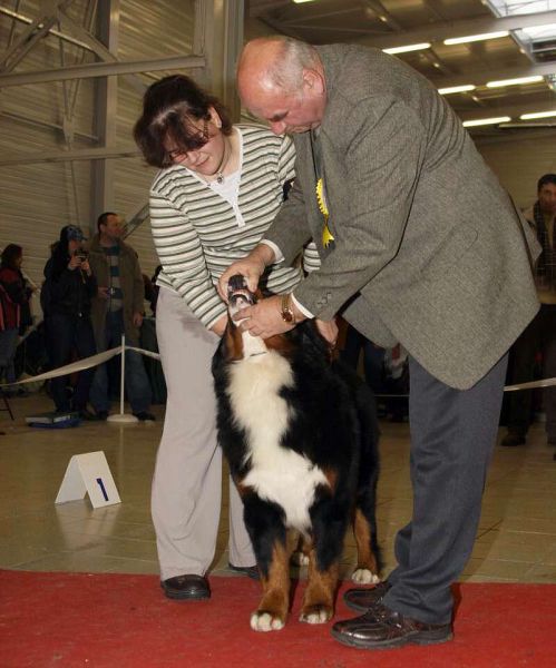 CACIB Trenčín 24.1.10 - Kristof a Lousiana Queen Elsa