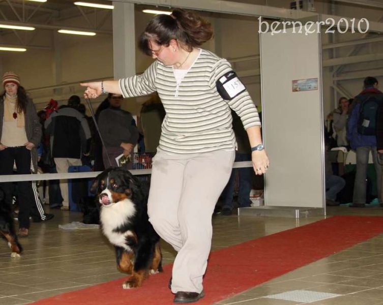 CACIB Trenčín 24.1.10 - Kristof a Lousiana Queen Elsa