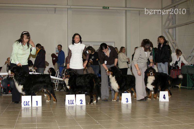 CACIB Trenčín 24.1.10 - Kristof a Lousiana Queen Elsa