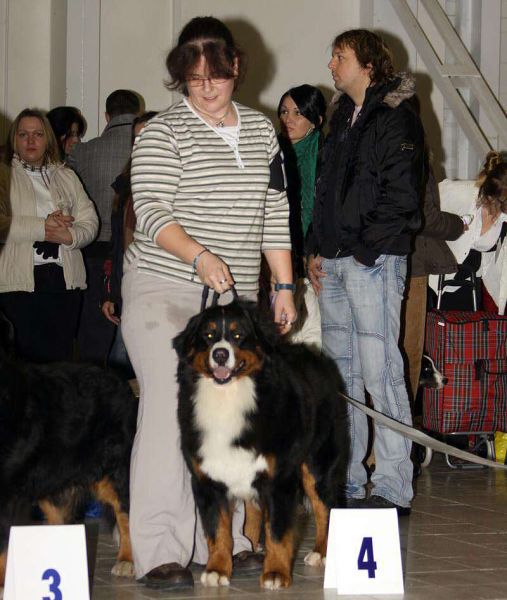 CACIB Trenčín 24.1.10 - Kristof a Lousiana Queen Elsa