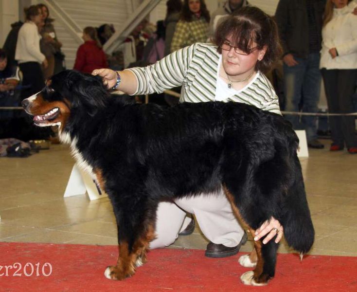 CACIB Trenčín 24.1.10 - Kristof a Lousiana Queen Elsa