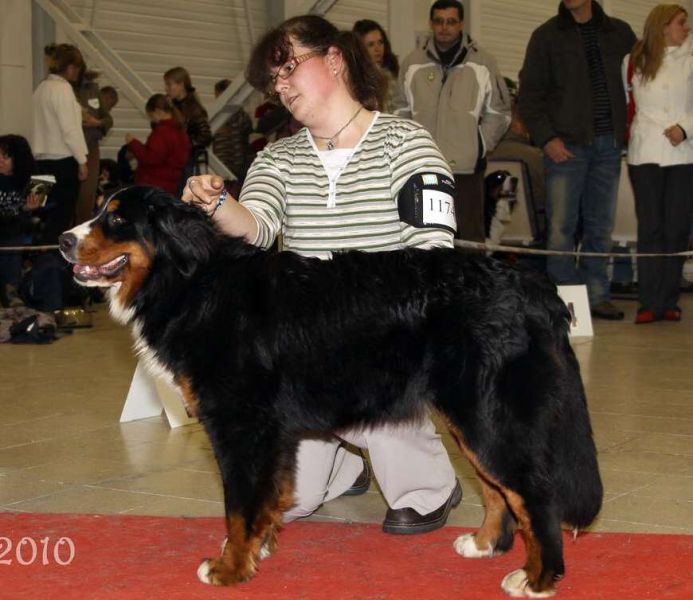 CACIB Trenčín 24.1.10 - Kristof a Lousiana Queen Elsa
