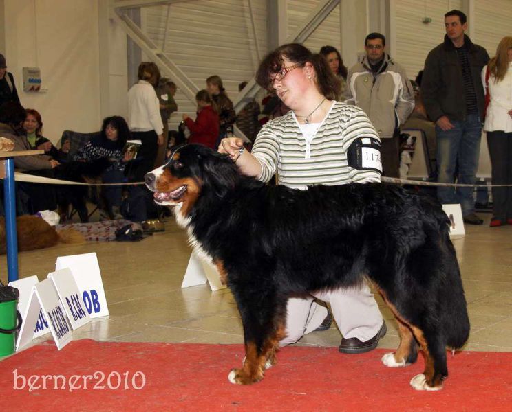 CACIB Trenčín 24.1.10 - Kristof a Lousiana Queen Elsa