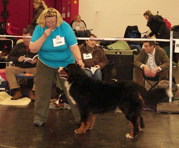 CACIB Norimberk - 17. 1. 2010
